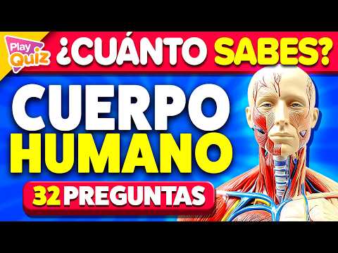 How Much Do You Know About the Human Body? 🫁👀🧠 | Play General Knowledge Quiz