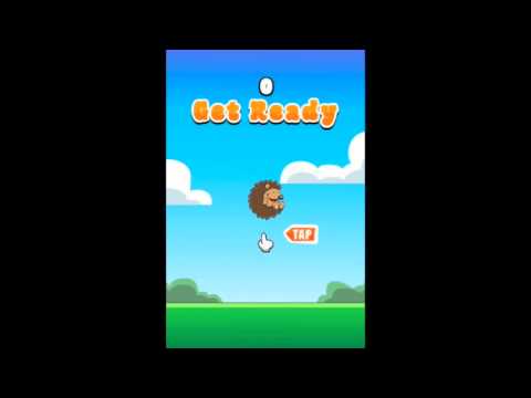 Bouncy Hedgehog Video