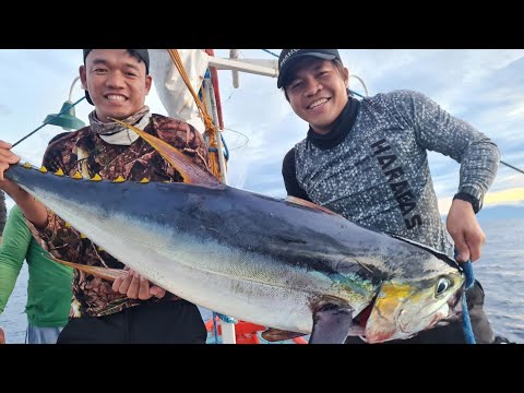 EP814-P1 - Day 2 of Tuna Series