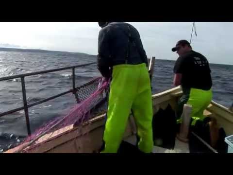 01 Introduction to the Project