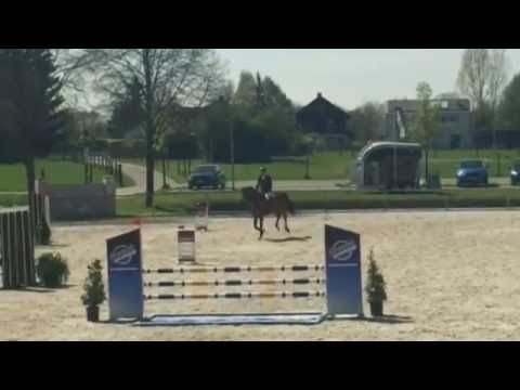 103 - Carat v. Calico - Caletto I / Eindrücke vom Turnier