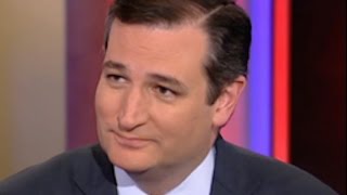 Ted Cruz Owned During MSNBC Interview