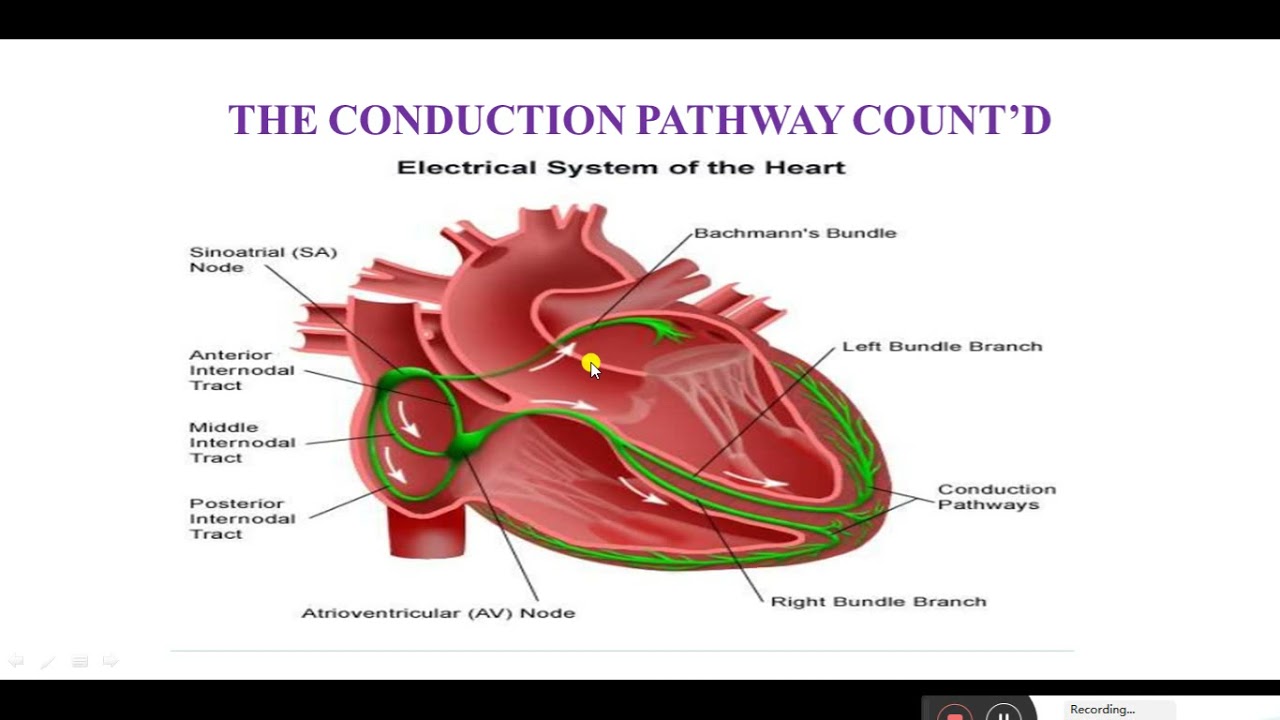 Single Video thumbnail