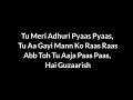 Ghajini Guzarish Black Screen Lyrical Song Amir Khan AR Rehman Javed Ali Sonu Nigam