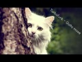 Turbofunk - Gotta Move [Trent Cantrelle & Chris ...