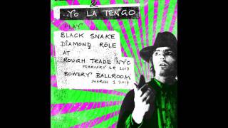Robyn Hitchcock and Yo La Tengo ~ Black Snake Diamond Role ~Live @ Rough Trade NYC