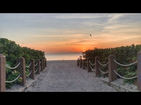 Sunrise in Miami Beach || Ocean Paradise