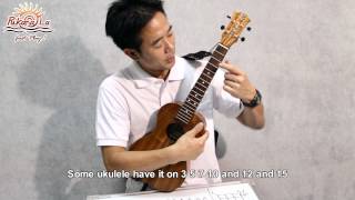 Download Lagu PukanaLa Channel - Lesson 12 Tokada by Bruce Shimabukuro Thumbnail