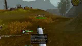 Warhammer Online Shadow Warrior And Warrior Priest Gameplay