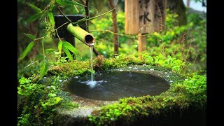 396 Hz ☯ Positive Energy Meditation ☯ Binaural Beats Meditation ☯ Relaxing Bamboo Fountain #GV46