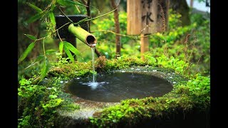 396 Hz ☯ Positive Energy Meditation ☯ Binaural Beats Meditation ☯ Relaxing Bamboo Fountain #GV46