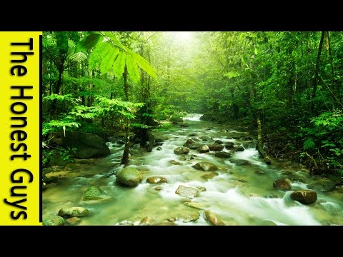 GUIDED SLEEP MEDITATION: Talk-down with Mountain Stream Nature Sounds