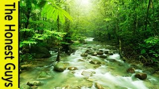 GUIDED SLEEP MEDITATION: Talk-down with Mountain Stream Nature Sounds
