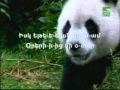 Armenian KARAOKE Ov Sirun Sirun2 