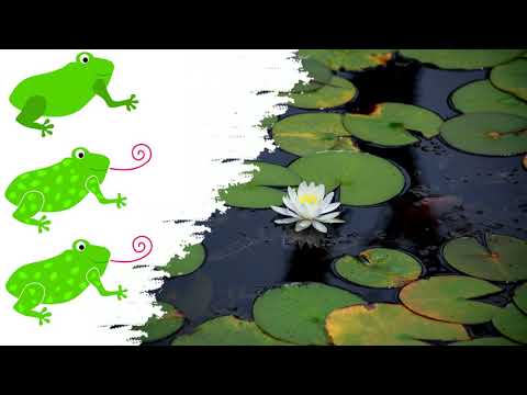 Croaking of frogs and toads in a pond - Sounds of croaking from a pond - Sounds of nature