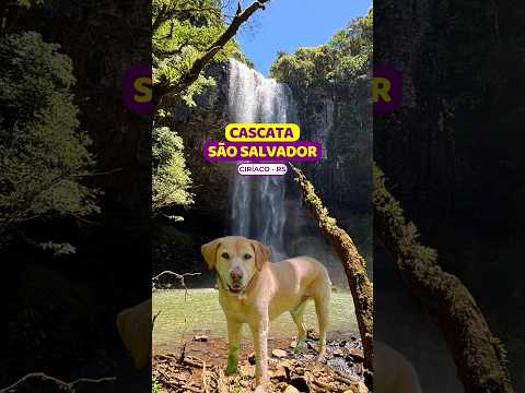😱 MAIOR da cidade | Cascata São Salvador | Ciríaco