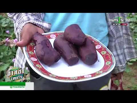 เต้านมเทียม บริษัท ในปี 2016 เสริมเต้านมใน 2 สัปดาห์