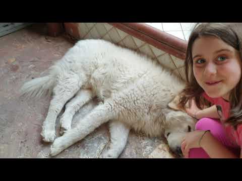 Vi faccio vedere la casa di mia nonna😘😇