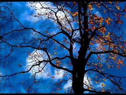 mad world gary jules mp4 mad world gary jules mp4
