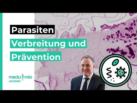 Parasiten: Verbreitung und Präventionsmaßnahmen 🧫 Dr. Armin Schwarzbach