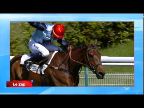 EQUDIA ZAP - Mai 2015