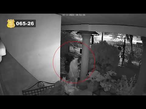 065. Sospechoso de Robo en Esparza, Puntarenas.