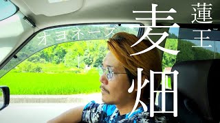 (cover) オヨネーズ / 麦畑  - mugi batake - (歌ってみた) 【蓮王】