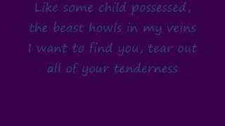 Howl - Florence &amp; the Machine (Lyrics on Screen)