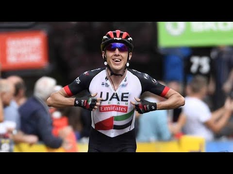 DAN MARTIN ° BEST OF °