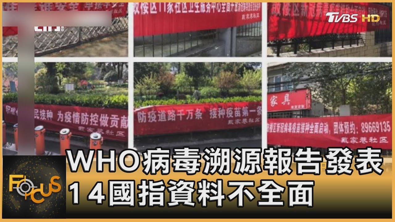 WHO病毒溯源報告發表 14國指資料不全面