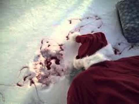 Dre Barrs - This Ain't No Toy feat. Cito Yung Ghad prod by Nugz