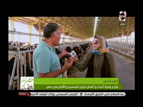 , title : 'مصر أحلى-  بالفيديو ..شاهد كيف يتم تربية الأبقار فى أفضل مزارع تسمين وألبان فى مصر مزارع وفرة'