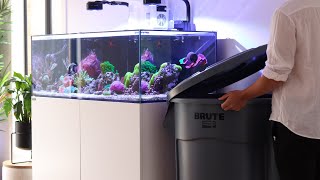 Preparing the Tank for a 30-Day Vacation - Part 2 | Blue Reef Tank