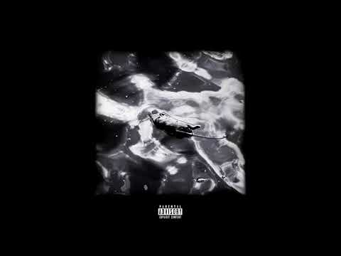 RADMO X BOULOS X KREG - Règne animal