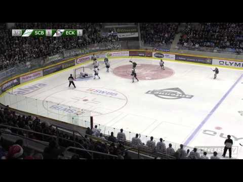 *28.Spieltag* Bietigheim Steelers vs. Kassel Huskies (21.12.2014)