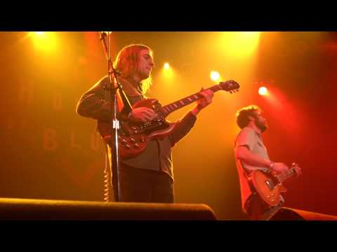 The Legal Immigrants - Folk Yes (Live at House of Blues Chicago)
