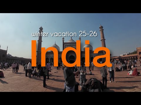 インド•ネパール旅行(DAY1-2) l インドにも行きたい