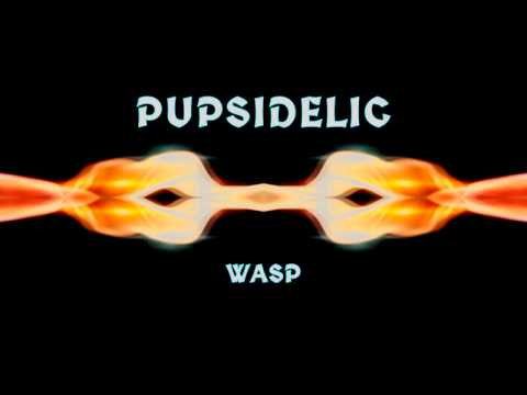 Pupsidelic - Wasp (Album Preview)