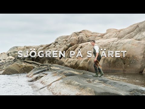 Sjögren på skäret