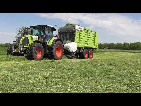 1.Schnitt 2021 - Claas Arion 660- Claas Cargos 8400
