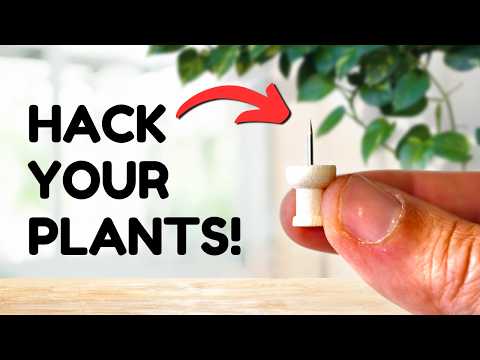 Top 10 Plant Hacks Everyone Should Know