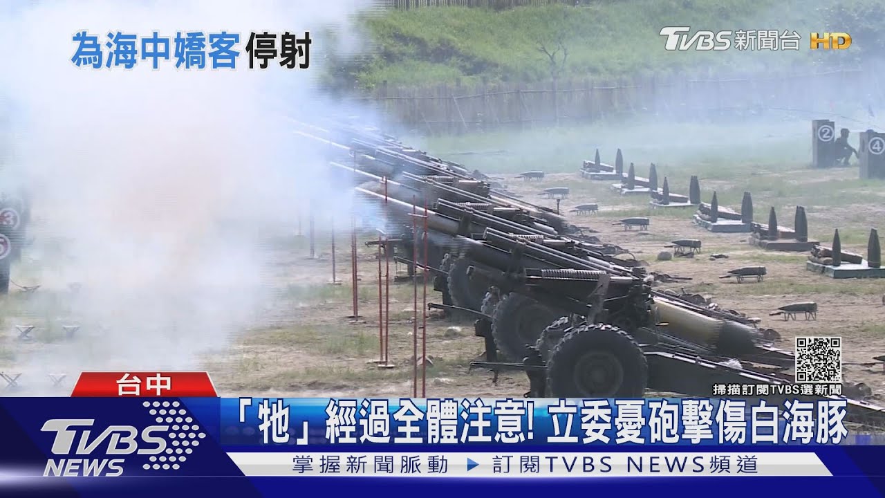 「牠」經過全體注意！　立委憂砲擊傷白海豚