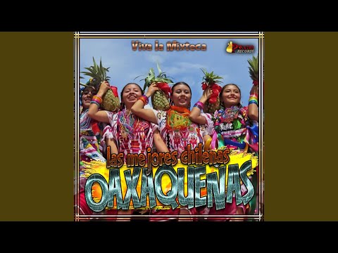 Chilena Para Huajuapan