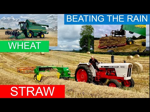 SALVAGING STRAW - TRYING WHEAT - BATTLING THE SHOWERS