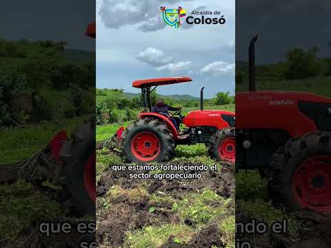 ¡El campo de Colosó florece y avanza! 🚜🌱Seguimos haciendo historia en nuestra tierra.