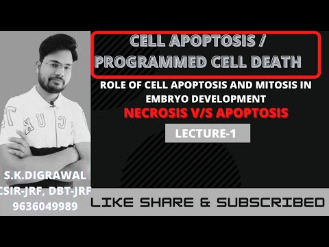 CELL APOPTOSIS || PROGRAMMED CELL DEATH (LECTURE-1) NECROSIS || CONCEPT OF BRAIN LIFE SCIENCES
