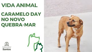 Vida Animal - Caramelo Day no Novo Qubra-Mar