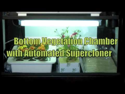 , title : 'Hydroponics Grow Box | Grow Tips by SuperCloset'