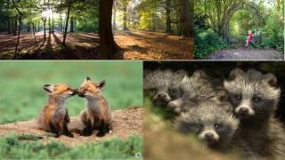 Heeft duurzaamheid een toekomst?