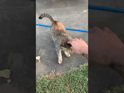 [IG LIVE] owen5vadoz 190912